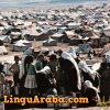 profughi_nel_deserto
